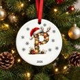 thumbnail image 7 of Fievgin Christmas Ornament 2026, Letter P Initial Decoration with Santa Hat for Tree & Gift, 7 of 7