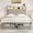 Gray, variant on Amolife Queen Bed Frame with 2-Tier Shelves Wingback Headboard and Two Large Storage Drawers, Fast Charging Station and Multi-Color LED, Black