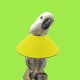 thumbnail image 5 of M Collar para pájaros, loros, Collar antimordeduras de seguridad, Collar para desplumar plumas para pájaros, 5 of 5