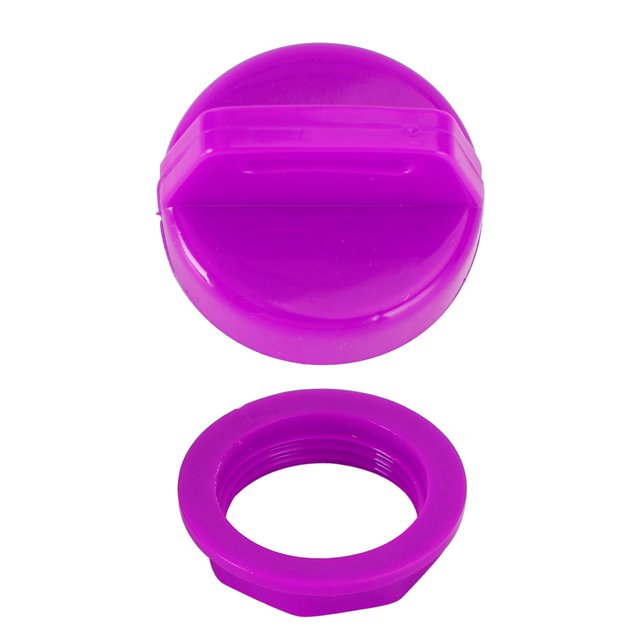 Clé d'Allumage Violette avec Écrou pour Polaris RZR XP 1000 900 800 Ranger Sportsman
