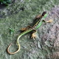 thumbnail image 3 of Artificial Lizard Fadeless Vivid Colorful Reptile Lizards Toy Party Supplies, 3 of 11