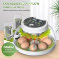 thumbnail image 3 of Egg Incubator, Temperature and Humidity Digital Control, EU Plug, 3 of 5