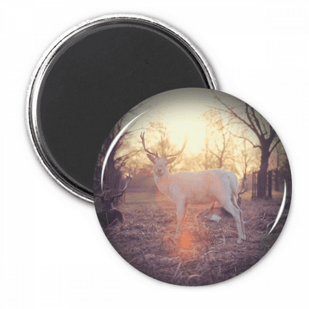 

Sheep Forestry Science Nature Refrigerator Magnet Sticker Decoration Badge