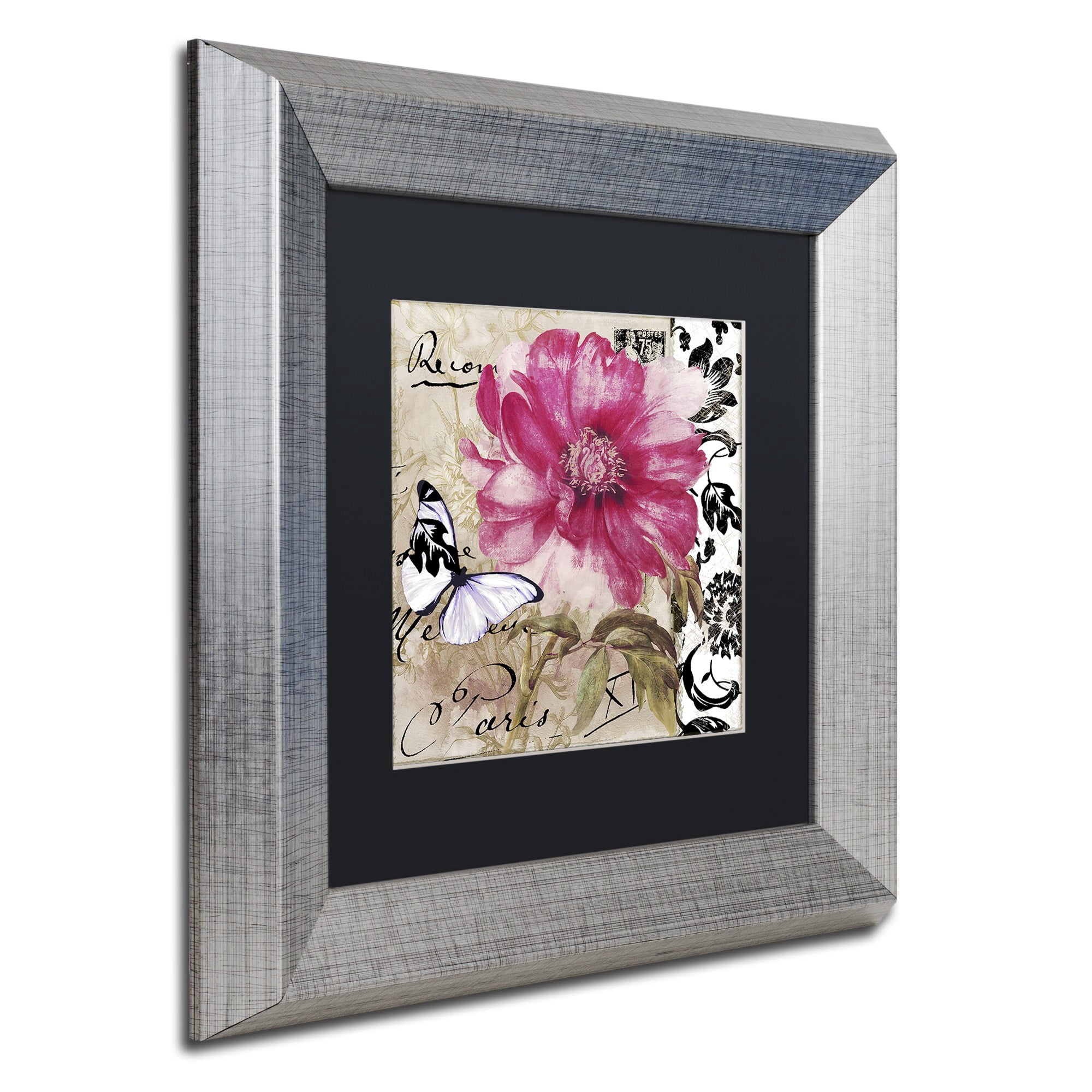 Trademark Fine Art "Le Pink" Canvas Art by Color Bakery Black Matte, Silver Frame