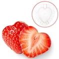 thumbnail image 4 of SASABAXI 5Pcs Reusable Fruit Growing Mould for Garden and Farm Use, 4 of 6