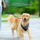 thumbnail image 4 of Correa para perro correa de cuerda para perro hebilla de gancho de 360 ​​grados a prueba de explosiones para caza camping patio trasero ANGGREK Otros, 4 of 8