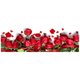 thumbnail image 1 of Flor rosa diamante pintura lienzo bordado Cruz artesanía Kit de artes Mural decoración del hogar regalo kenally HA000563-00B, 1 of 6