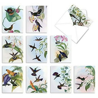 36 Pack Bird Design Blank Cards and Envelopes 4x6 for All Occasions,  Birthday, Thank You, Kraft Paper Notecards