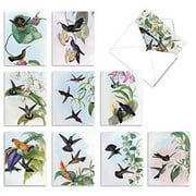 Watercolor Painted Hummingbird Note Cards (10 Pack) - Beautiful Blank Greeting Cards for All Occasions - Assorted Bird and Flower Notecards 'Humming Along' - Stationery Cards with Envelopes M10034BK