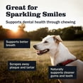 thumbnail image 2 of Redbarn Naturals Pig Ears Dog Treats, 10 count, 2 of 5