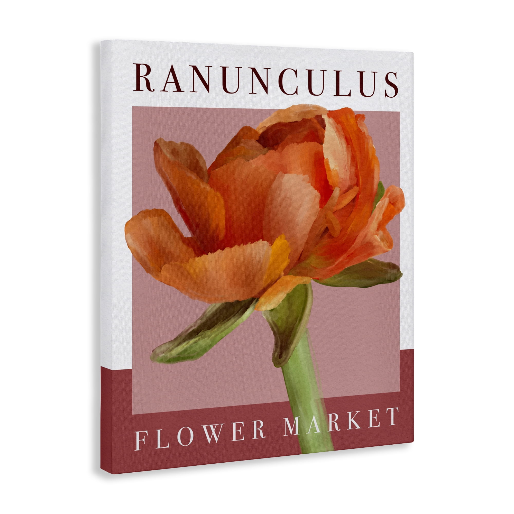 Stupell Industries Ranunculus Flower Market Canvas Wall Art, design by Jennifer Stith