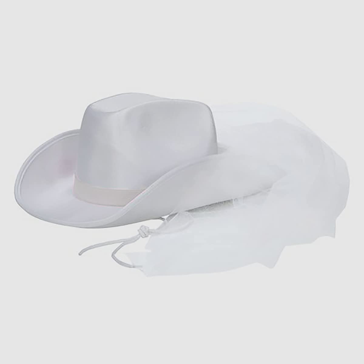 Bride Cowgirl Hat with Veil 
