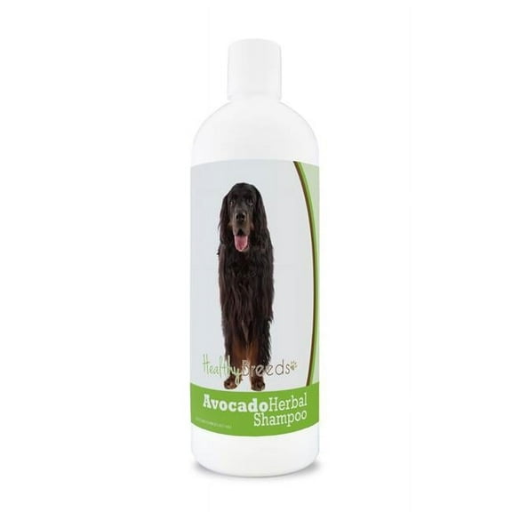 Healthy Breeds 840235157571 Gordon Setter Avocado Herbal Dog Shampoo