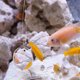 thumbnail image 2 of 1 set de entrenamiento betta espejo betta espejo de ejercicio para tanques de pescado espejo flotante, 2 of 6