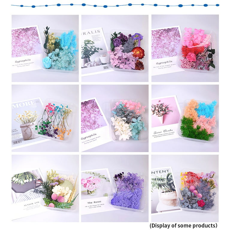 1 Box Real Dried Flower Dry Plants For Aromatherapy Candle Making  Accessories