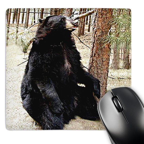 3dRose, Black Bear, MousePad