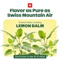 thumbnail image 5 of Ricola Sugar Free Lemon Mint Throat Drops for Everyday Soothing Throat Care, Value Pack, 45 Count, 5 of 8