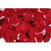 Victoria Lynn - Big Value Rose Petals, 300-Piece, Mixed Red