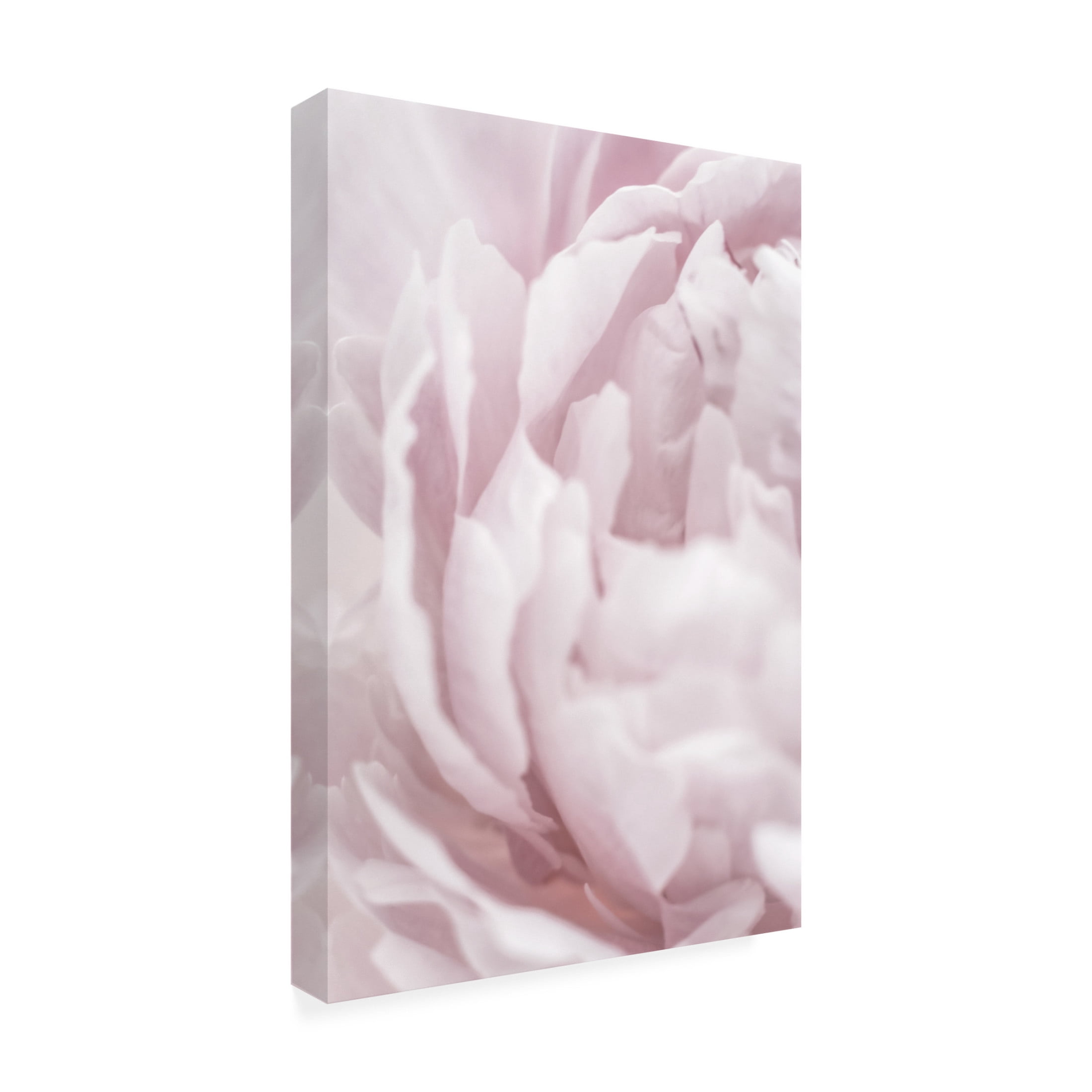 Trademark Fine Art Pictufy Studio III Peony 15 Canvas Wall Art
