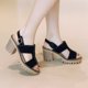 thumbnail image 1 of Botas de mujer de tacón alto de microfibra de tela esmerilada de moda, tamaño 35-43 Wmkox8yii hfjk2476, 1 of 9