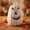 B, variant on White Pumpkin Shaped Lantern,Halloween Glowing Resin Ornament,Style Desktop Mood Night Light,Battery Operated LED Decor,White Gothic Style for Home Party Ambiance