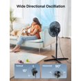 thumbnail image 3 of Ventilador de pedestal Pelonis AC, 3 of 5