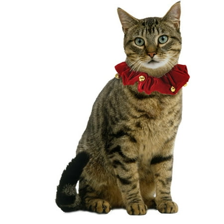 SimplyCat Red Velvet Cat Scrunchie, Red Velvet, Multiple Sizes Available