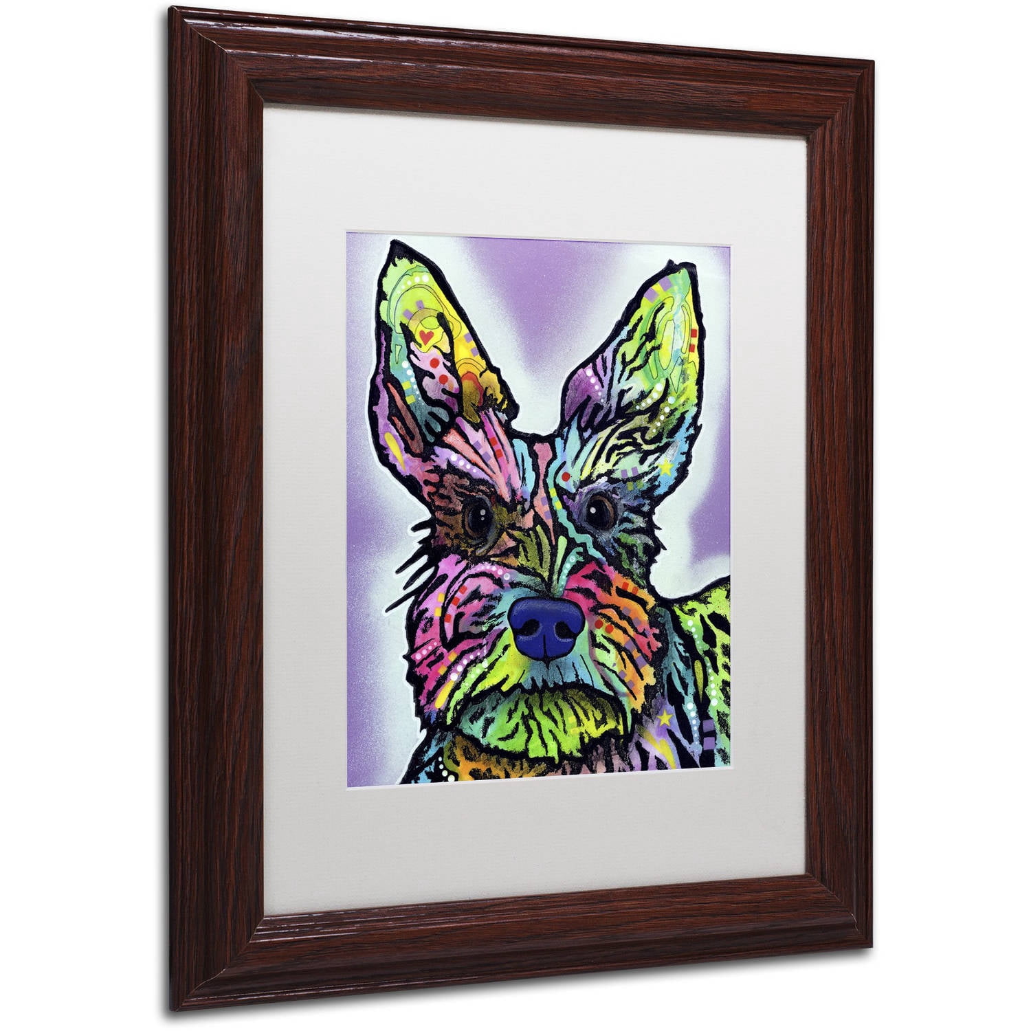 Trademark Fine Art "Stella" Canvas Art by Dean Russo, White Matte, Wood Frame