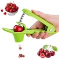 thumbnail image 1 of Cherry Pitter,Cherry Seed Remover Olives Pitter Tool, Cherries Corer Pitter Tool with Space-Saving Lock Design,Multi-Function Fruit Pit Remover for Making Cherry Jam ( Stainless Steel / Heavy-Duty), 1 of 6