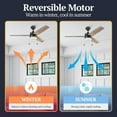 thumbnail image 6 of Prominence Home 48 Inch Reston LED Ceiling Fan with Light, Pull Chain and 3 Blades, Bronze, 6 of 12
