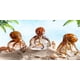 thumbnail image 4 of Figura decorativa de pulpo de cristal EUSTUMA para pecera y acuario, 4 of 7