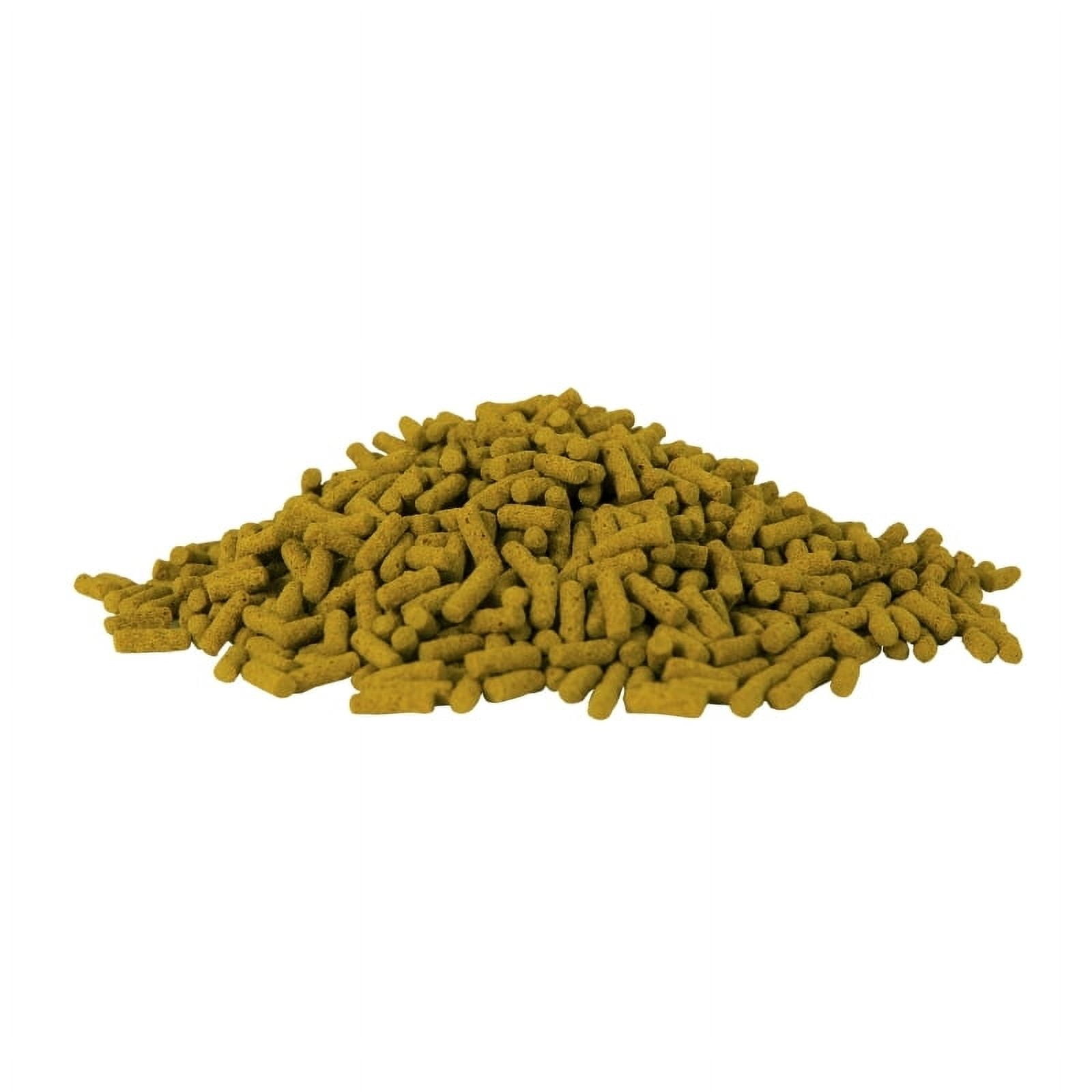 Tetra Pond Spring and Fall Diet 3.08 Pounds, Pond Fish Food, for Goldfish and Koi, Pellets
