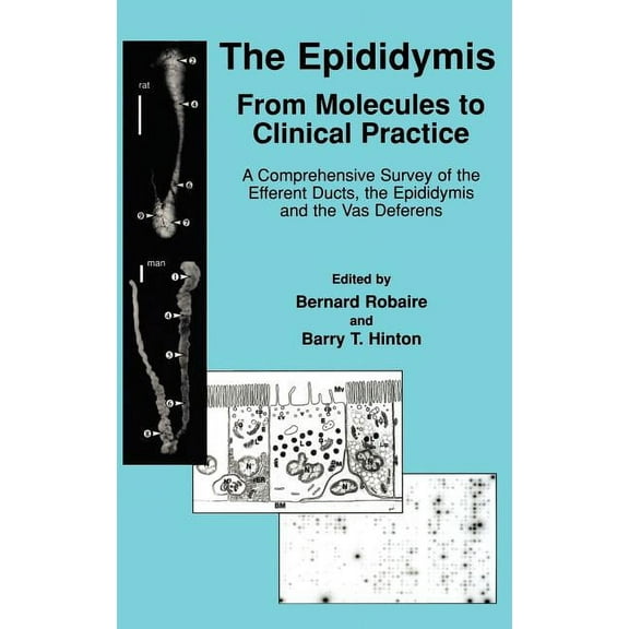 The Epididymis: From Molecules to Clinical Practice: A Comprehensive Survey of the Efferent Ducts, the Epididymis and th, (Hardcover)