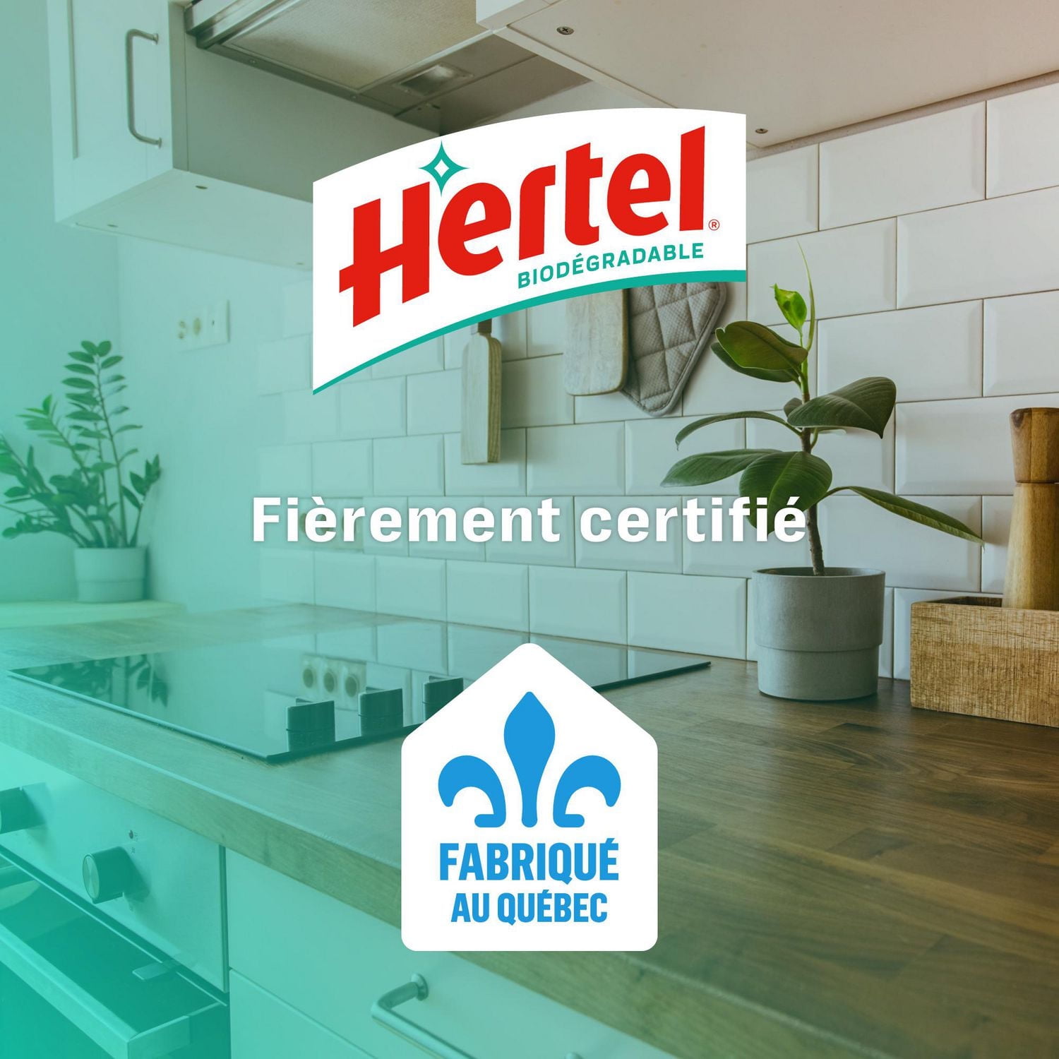 Listoil Veste Reebok Enfant Gris Spray Vert Piquant Anti-Acariens