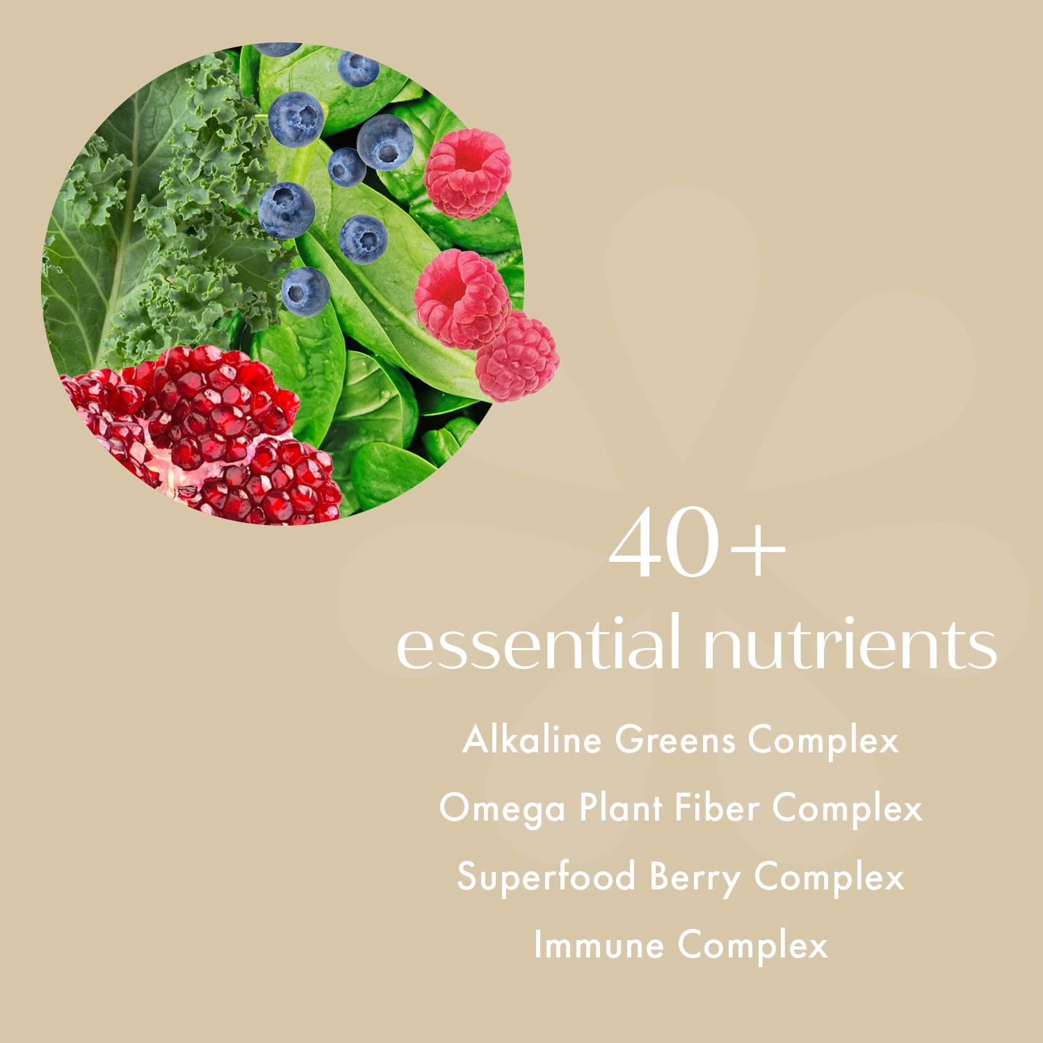 Mother of All Greens Daily Superfood Greens Blend, Light Berry Flavor, 20 Servings
