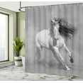 thumbnail image 4 of Ambesonne Gray Shower Curtain, Photo of Horse on Sand Print, 69"Wx75"L, Pale Eggshell White and Umber, 4 of 4