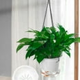 thumbnail image 7 of harmtty 1 Set Hanging Flowerpot with Chain Transparent Shell Hanging Self-absorbing Water Plant Pot Flowerpot Gardening Supplies, 7 of 7