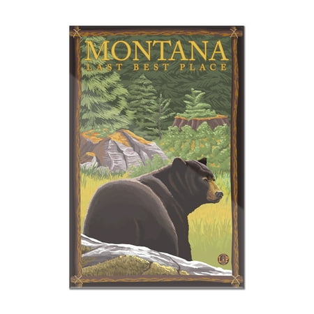 Montana, Last Best Place - Bear in Forest - Lantern Press Artwork (8x12 Acrylic Wall Art Gallery (Best Place To Shop For Cheap Home Decor)