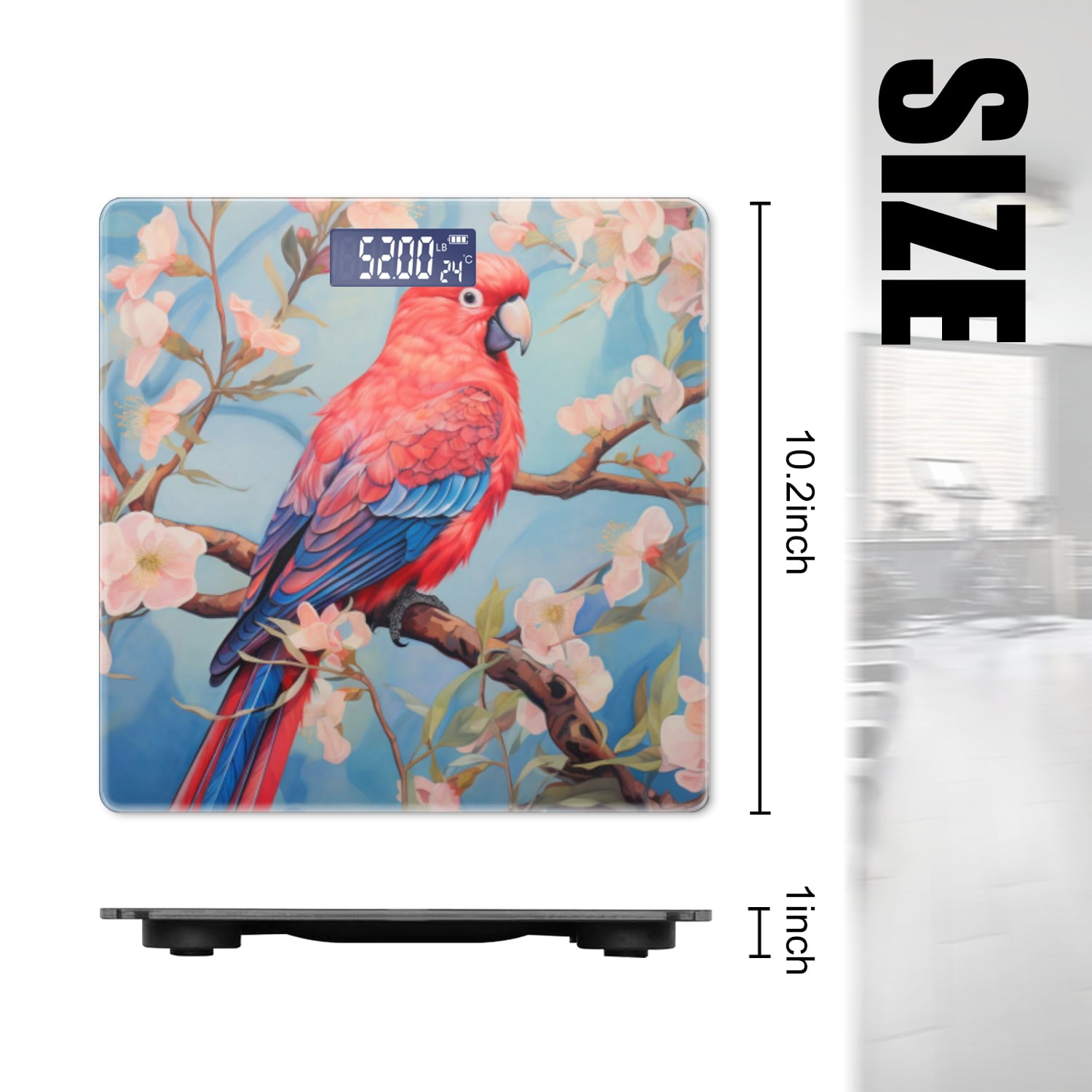 Bathroom Scale, Highly Accurate Digital Body Scale,Precisely Measures Weight up to 400 lbs-Beautiful Oil Painting Of Parrot Sitting On Branch