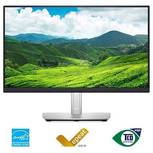 Dell 24 Monitor - P2422H - Full HD 1080p, IPS Technology