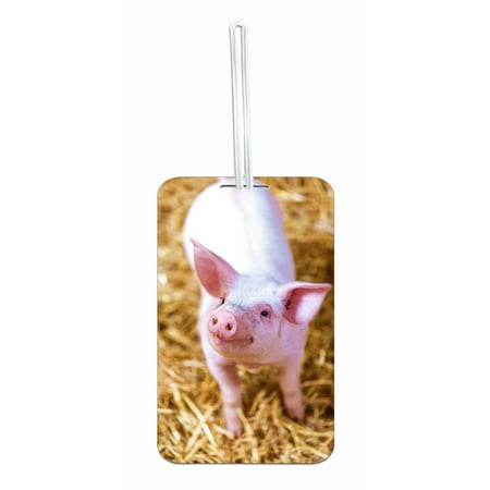 Piglet Tag - Piglet Double Sided Luggage Identifier Tag