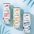 CELSIUS Energy Drink Functional Essential Energy Drink Sparkling