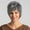 Grey, variant on Zenghuiiii Transparent Lace Frontal Fashionable and fashionable women's silver white short straight hair wig