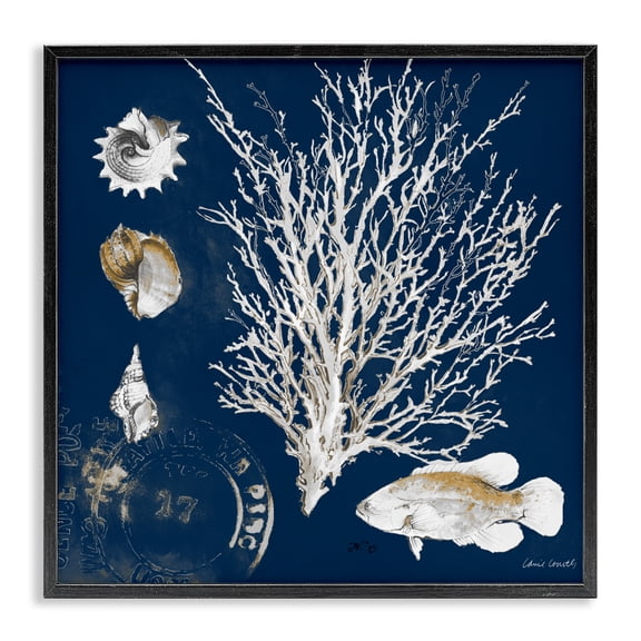 Stupell Industries Coastal Coral Medley on Navy Black Framed Giclee Art, 12 x 12, by Lanie Loreth