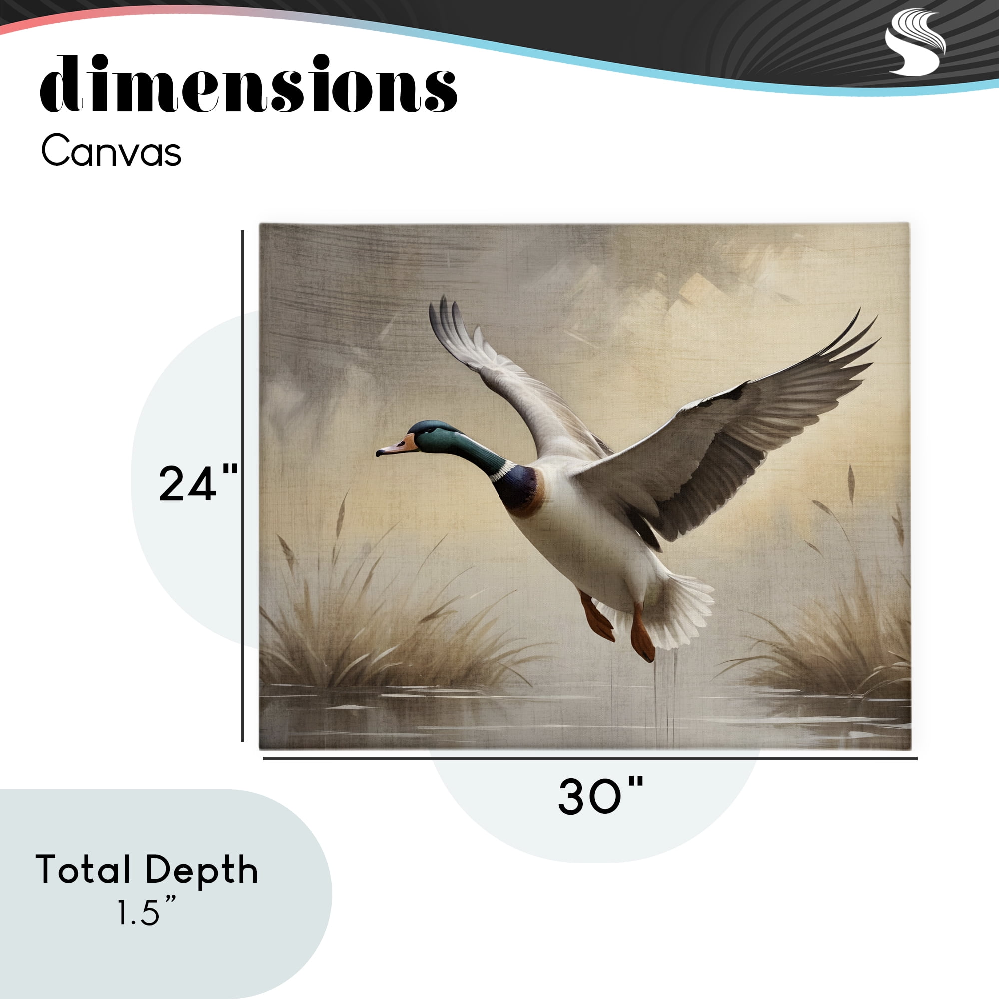 Stupell Industries Gliding Mallard over Wetlands Canvas Wall Art, design by Susan Arnot