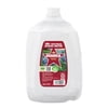 Ozarka Texas Spring Water, 1 Gal, Single Plastic Jug