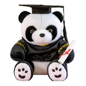 Binwennn Graduation Gradation de l'ours en peluche Classe de jouet de l ́ours en bourrelet 2023 Doille de l'ours de fin d'études avec sac pour la maternelle Jour de fin de scolarité au collège primaire
