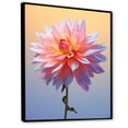 thumbnail image 2 of Designart "Dancing In Coral And Blue Dahlias I" Dahlia Floater Framed Canvas Art Print, 2 of 5
