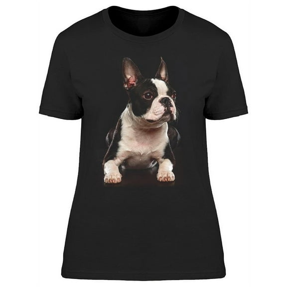 Boston Terrier Puppy T-Shirt Women -Image by Shutterstock, Female XX-Large