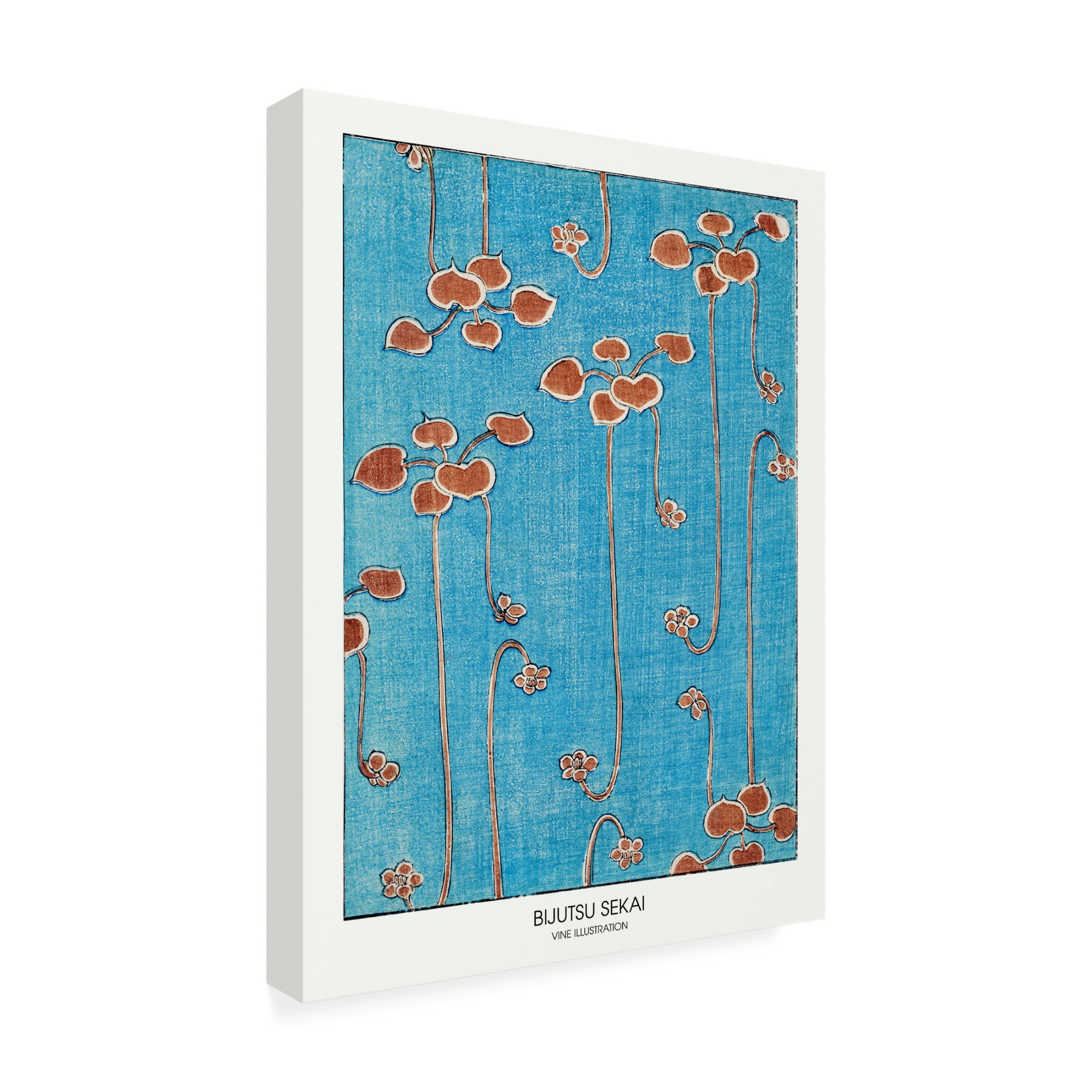 Trademark Fine Art Pictufy Vine Illustration Canvas Wall Art